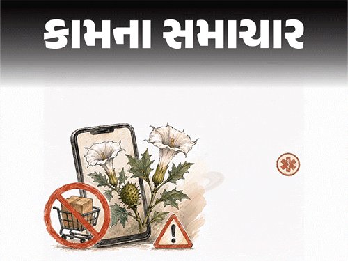 ઓનલાઈન શાકભાજી-કરિયાણામાં ધતૂરાનું જોખમ: 'ફ્રી ફ્રુટ' નામે વેચાણ અંગે ચેતવણી, જાણો બચવાના ઉપાય
