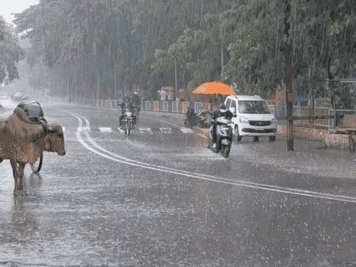 રાજ્યમાં 12% વરસાદ ઘટ્યો, સૌરાષ્ટ્ર-કચ્છમાં દુષ્કાળ જેવી સ્થિતિ